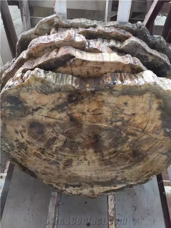 Perified Wood Stone Slab for Table Top, Countertop, Wall