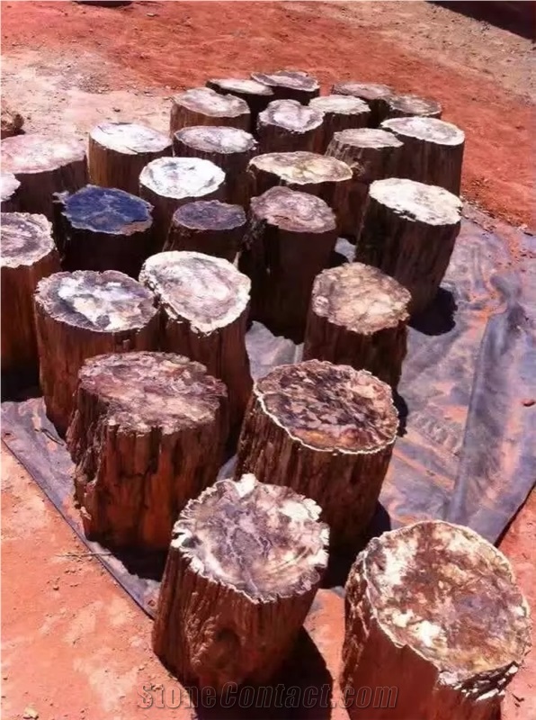 Perified Wood Stone Slab for Table Top, Countertop, Wall