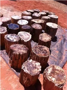 Perified Wood Stone Slab for Table Top, Countertop, Wall