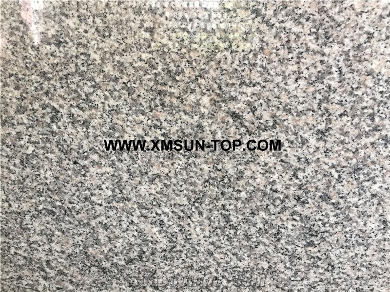 Polished G623 Granite Steps/Barry White Granite Stairs/China Bianco Sardo Granite Stair Riser/Rose Beta Granite Stair Treads/Gamma Grey Granite Stair/Haicang White Granite Stair