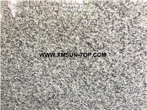 Polished G623 Granite Steps/Barry White Granite Stairs/China Bianco Sardo Granite Stair Riser/Rose Beta Granite Stair Treads/Gamma Grey Granite Stair/Haicang White Granite Stair