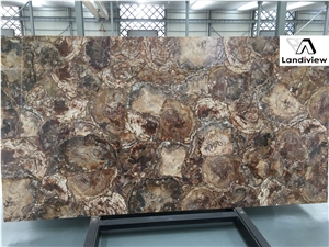 Brown Petrified Wood Slabs, Semiprecious Stone Slabs Brown Petrified Wood Slabs, Semiprecious Stone Slabs