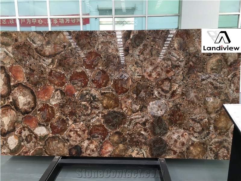 Brown Petrified Wood Slabs, Semiprecious Stone Slabs