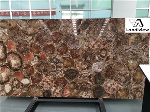 Brown Petrified Wood Slabs, Semiprecious Stone Slabs