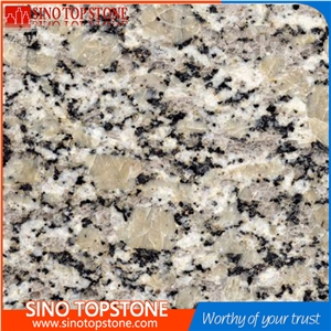 G882 Granite,Mo Yu Huang,Desert Diamond Granite,Desert Gold Granite,Desert Flower Granite,Desert Flower Gold Granite G882 Granite,Mo Yu Huang,Desert Diamond Granite,Desert Gold Granite,Desert Flower Granite,Desert Flower Gold Granite