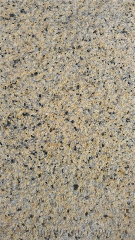 Binh Dinh Yellow Granite Slabs / Tiles, Viet Nam Yellow Granite