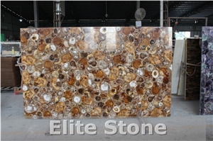 Petrified Wood Semi Precious Stone Slabs and Tiles for Interior Wall and Floor