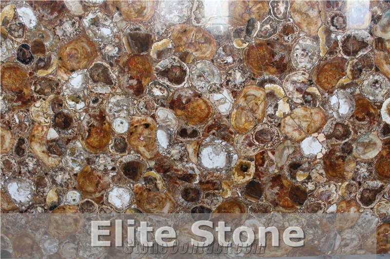 Petrified Wood Semi Precious Stone Slabs and Tiles for Interior Wall and Floor