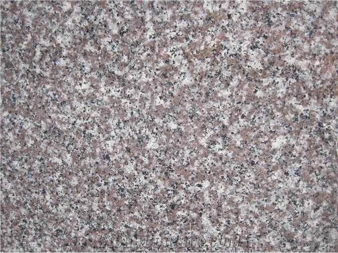 G664 China Granite for Building Half Slabs Polished