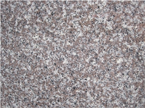 G664 China Granite for Building Half Slabs Polished