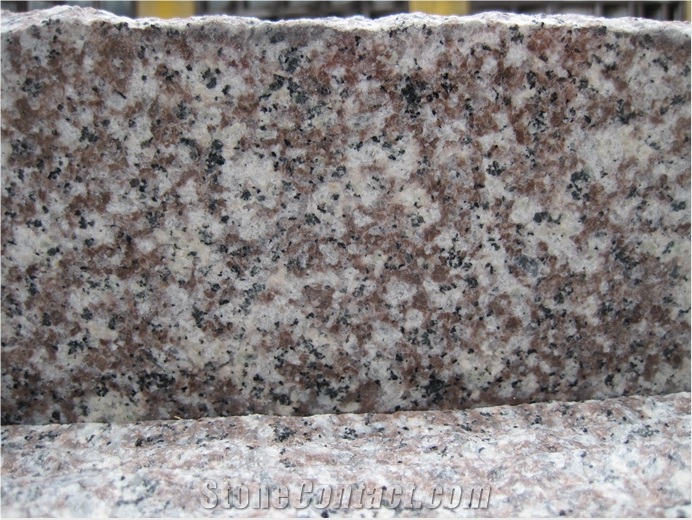 G664 China Granite for Building Half Slabs Polished