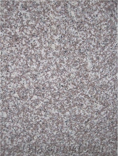 G664 China Granite for Building Half Slabs Polished