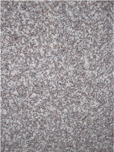 G664 China Granite for Building Half Slabs Polished