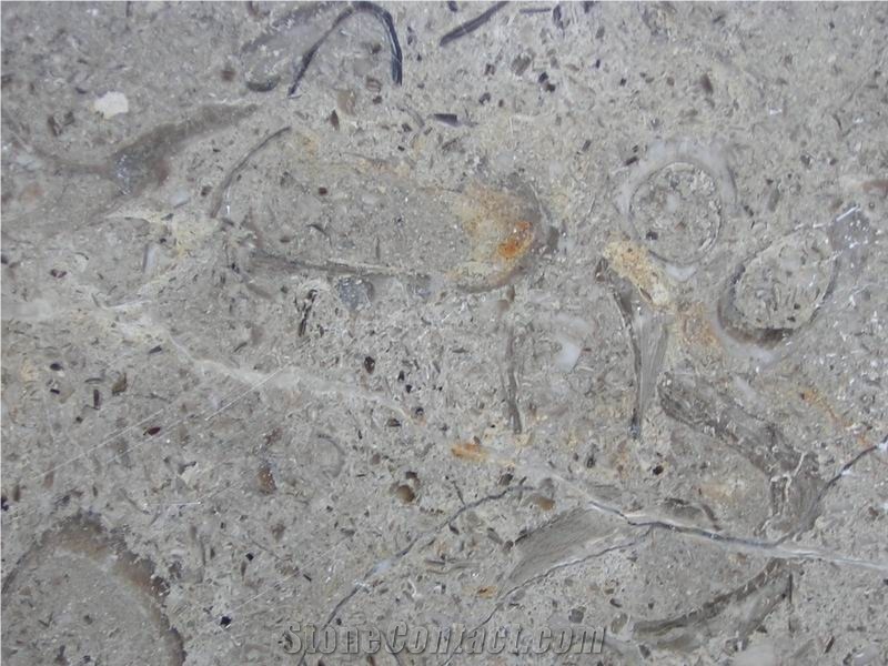 Nefertiti, Egypt Grey Marble Block