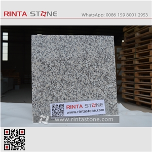 China Grey Granite G602 White Snow Stairs & Steps Cheaper White Stone Light White Granite Royal White New Gray Granite G603 Big Flower Granite Padang White