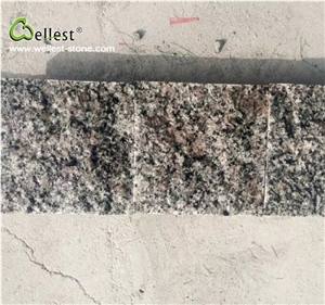 G300 Hawthorn Red Granite Polished Slabs & Tiles, Wall & Floor Covering, Skirting,Shanzha Red,G300 Granite Red Mahogany, Santa Red ,Shandong Red,China Red Granite G300 Hawthorn Red Granite Polished Slabs & Tiles, Wall & Floor Covering, Skirting,Shanzha Red,G300 Granite Red Mahogany, Santa Red ,Shandong Red,China Red Granite