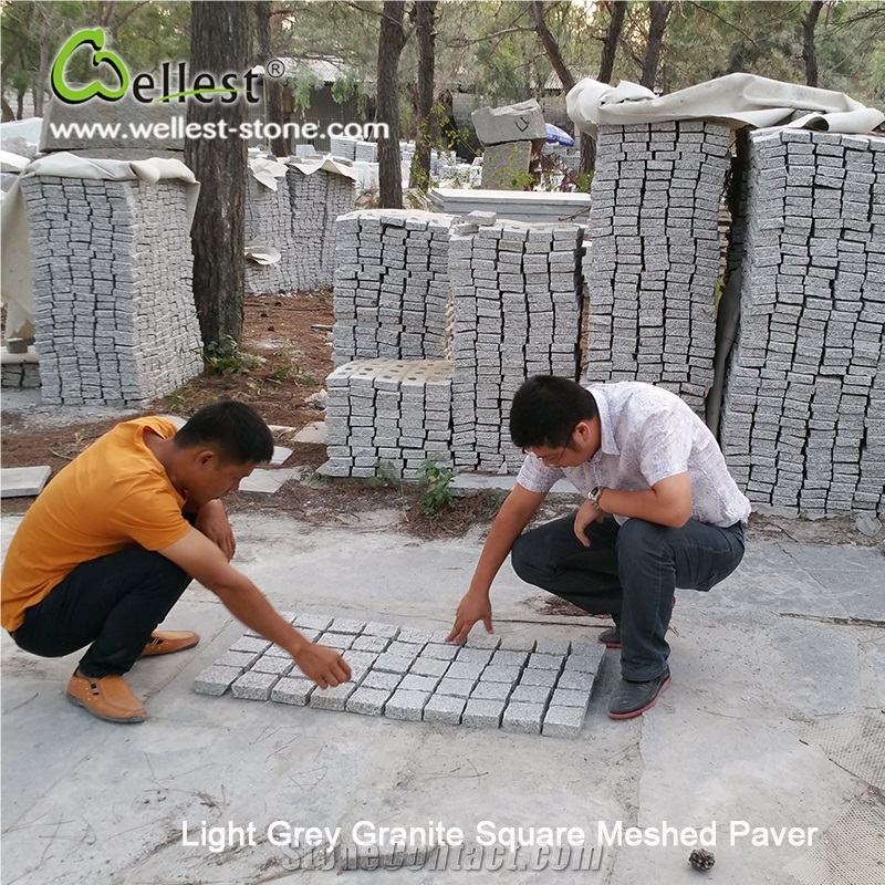 G603 Lunar Pearl Light Grey Granite Sqaure Meshed Patio Paving Stone