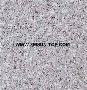 Light Grey Quartz Stone Slabs&Tiles&Customized/Pale Grey Engineered Stone/Grey Artificial Quartz/Manmade Stone/China Quartz Stone for Flooring&Wall Covering/Mystery Universe Engineered Quartz/Bl6131