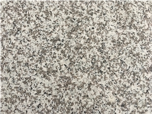 China White Granite G439 Steps&Risers&Stairs&Staircase&Stair Threshold, G439 White Granite Stair Threshold,Bianco White Granite,Stone Riser,White Stone Staircase,G439 Stair Treads