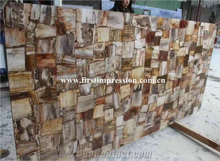 Best Price Brown Petrified Wood(Round Wood)/Semiprecious Stone Slab&Customized/Semi Precious Stone Slab for Wall Cladding&Flooring/Semi-Precious Stone Panel/Interior Decoration Gemstone Slabs
