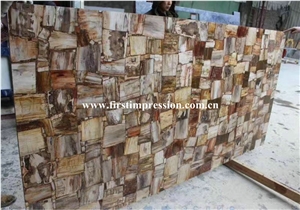 New Polished Brown Petrified Wood(Round Wood)/Semiprecious Stone Slab&Customized/Semi Precious Stone Slab for Wall Cladding&Flooring/Semi-Precious Stone Panel/Interior Decoration Gemstone Slabs