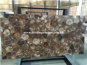 New Polished Brown Petrified Wood(Round Wood)/Semiprecious Stone Slab&Customized/Semi Precious Stone Slab for Wall Cladding&Flooring/Semi-Precious Stone Panel/Interior Decoration Gemstone Slabs