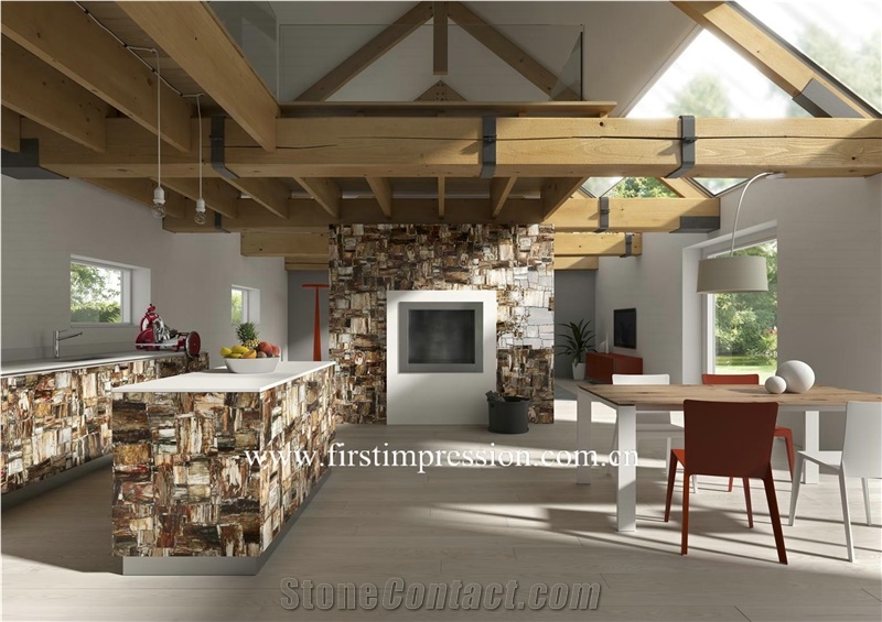 Petrified Wood Countertop,Semi Precious Stone Panels,Semi Precious Stone Wall,Gemstone Slabs,Previous Stone Slabs,Petrified Wood Semi Precious Stone Slab & Tiles,Petrified Wood Gemstone Slab