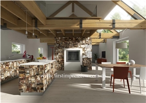 Petrified Wood Countertop,Semi Precious Stone Panels,Semi Precious Stone Wall,Gemstone Slabs,Previous Stone Slabs,Petrified Wood Semi Precious Stone Slab & Tiles,Petrified Wood Gemstone Slab