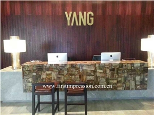 Petrified Wood Countertop,Semi Precious Stone Panels,Semi Precious Stone Wall,Gemstone Slabs,Previous Stone Slabs,Petrified Wood Semi Precious Stone Slab & Tiles,Petrified Wood Gemstone Slab
