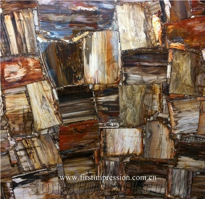 Petrified Wood Semi Precious Stone Slab & Tiles,Petrified Wood Gemstone Slab, Petrified Wood Countertop,Semi Precious Stone Panels,Semi Precious Stone Wall,Gemstone Slabs,Previous Stone Slabs