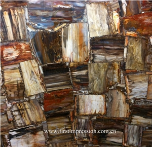 Petrified Wood Semi Precious Stone Slab & Tiles,Petrified Wood Gemstone Slab, Petrified Wood Countertop,Semi Precious Stone Panels,Semi Precious Stone Wall,Gemstone Slabs,Previous Stone Slabs