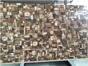 Petrified Wood Semi Precious Stone Slab & Tiles,Petrified Wood Gemstone Slab, Petrified Wood Countertop,Semi Precious Stone Panels,Semi Precious Stone Wall,Gemstone Slabs,Previous Stone Slabs