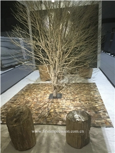 Petrified Wood Semi Precious Stone Slab & Tiles,Petrified Wood Gemstone Slab, Petrified Wood Countertop,Semi Precious Stone Panels,Semi Precious Stone Wall,Gemstone Slabs,Previous Stone Slabs