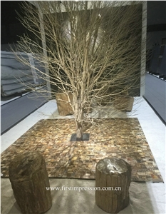 Petrified Wood Slab,Semi Precious Stone Panels,Semi Precious Stone Wall,Gemstone Slabs,Previous Stone Slabs,Petrified Wood Semi Precious Stone Slab & Tiles,Petrified Wood Gemstone Slab