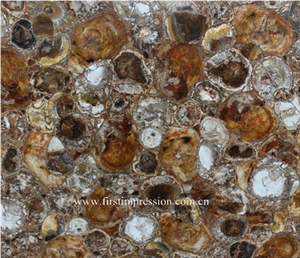 Round Petrified Wood Slabs, Semi Precious Stone Tiles ,Fossil Wood Stone Wall,Gemstone Slabs,Previous Stone Slabs,Petrified Wood Semi Precious Stone Flooring Tiles,Petrified Wood Home Decoration