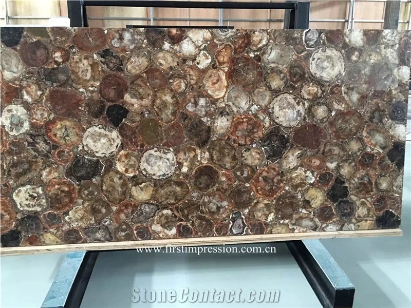 Round Petrified Wood Slabs & Tiles,Round Fossil Wood Stone Flooring,Previous Stone Slabs,Petrified Wood Semi Precious Stone Flooring Slab,Petrified Wood Home Decoration