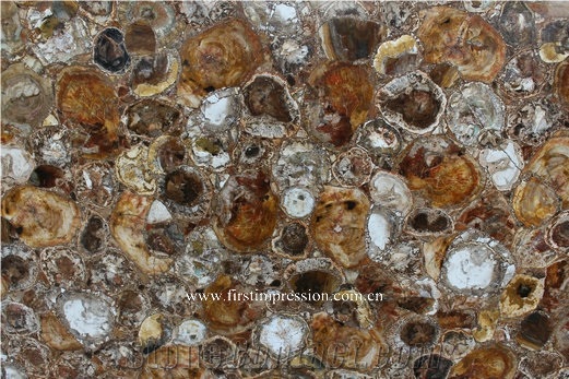 Round Petrified Wood Slabs & Tiles,Round Fossil Wood Stone Flooring,Previous Stone Slabs,Petrified Wood Semi Precious Stone Flooring Slab,Petrified Wood Home Decoration