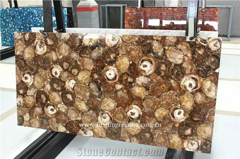 Round Petrified Wood Slabs & Tiles,Round Fossil Wood Stone Flooring,Previous Stone Slabs,Petrified Wood Semi Precious Stone Flooring Slab,Petrified Wood Home Decoration