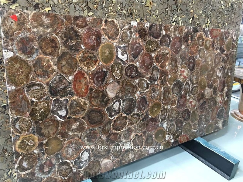 Round Petrified Wood Slabs & Tiles,Round Fossil Wood Stone Flooring,Previous Stone Slabs,Petrified Wood Semi Precious Stone Flooring Slab,Petrified Wood Home Decoration