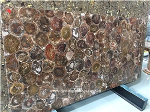 Round Petrified Wood Slabs & Tiles,Round Fossil Wood Stone Flooring,Previous Stone Slabs,Petrified Wood Semi Precious Stone Flooring Slab,Petrified Wood Home Decoration