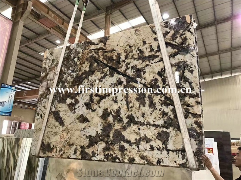 Yellow Granite Slabs & Tiles/Silver Fox Slabs and Tiles/Polished Silver Fox Granite/Snow Mountain Silver Fox Granite Big Slabs/Granite Floor Covering Tilessnow Fox Granite Slabs