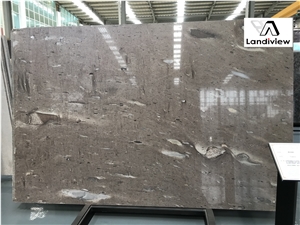 Cygnus Quartzite Slabs, Cygnus Quartzite Tiles