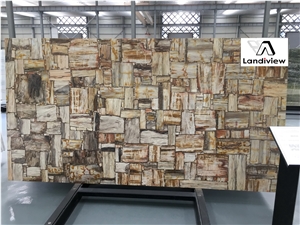 Multicolor Petrifield Wood Slabs