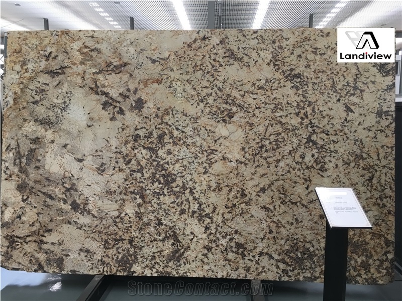 Splendor Gold Granite Slabs & Tiles