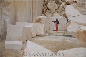 Golden Spider Marble Blocks
