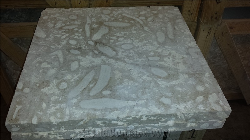 Coral Stone Pavers