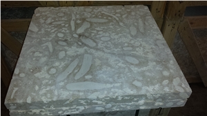 Coral Stone Pavers