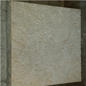 Coral Stone Pavers