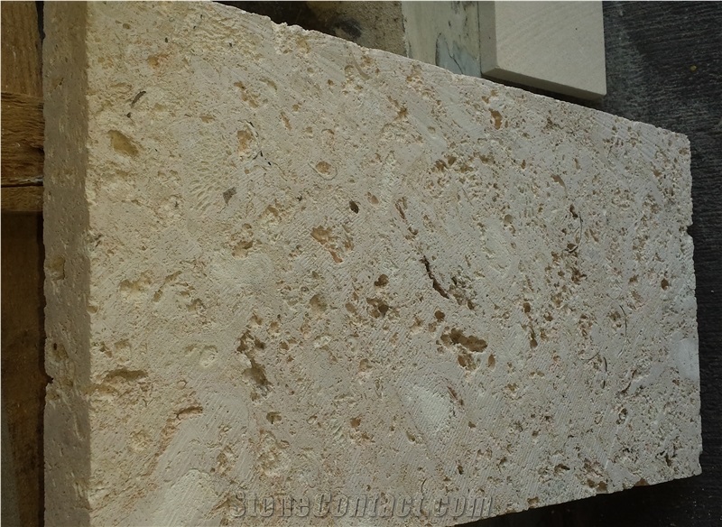 Coral Stone Pavers