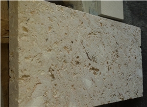 Coral Stone Pavers